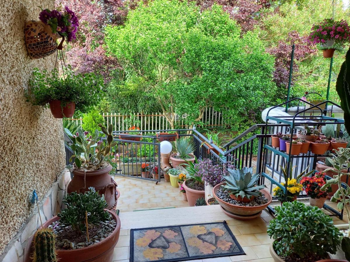 Casa Emilia Ξενοδοχείο Marano Principato Εξωτερικό φωτογραφία